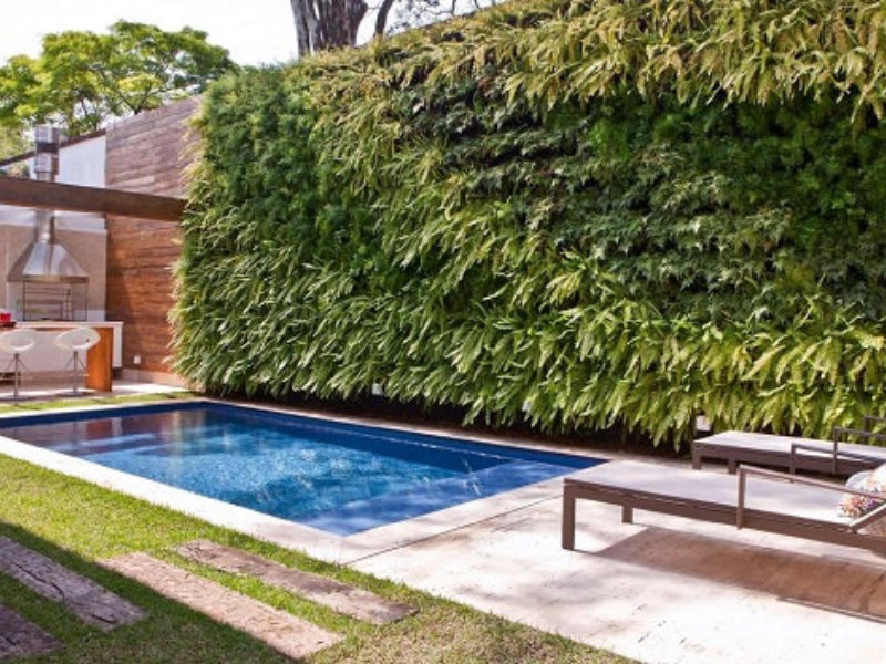 JARDINS VERTICAIS PARA OS DIAS DE HOJE